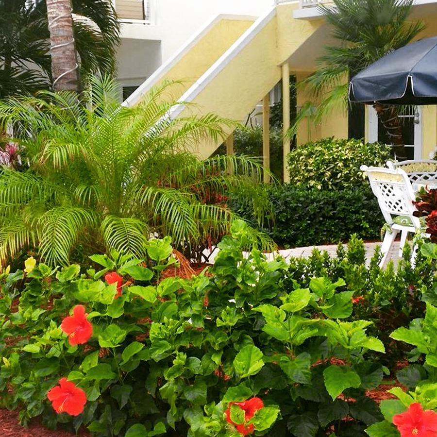 Sea Spray Inn Lauderdale-by-the-Sea Esterno foto
